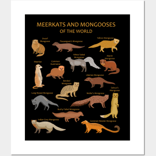 Meerkat and Mongoose Species Posters and Art